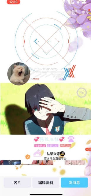 QQ自定义动态名片,QQ自定义静态名片,QQ个性美化名片 